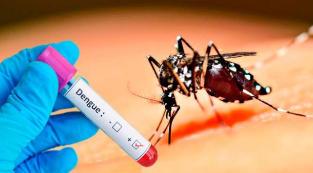 El Dengue es la enfermedad que trasmite el mosquito Aedes Aegypti