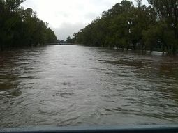 Al menos 200 personas evacuadas por temporal de lluvia y viento en Santa Fe