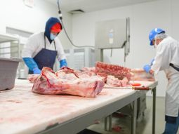 El precio de exportación de la carne vacuna uruguaya cayó por quinto mes consecutivo. El precio de exportación de la carne vacuna uruguaya cayó por quinto mes consecutivo.