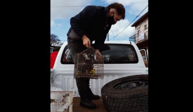 Mar del Plata: descubren un negocio que vendía ilegalmente aves exóticas