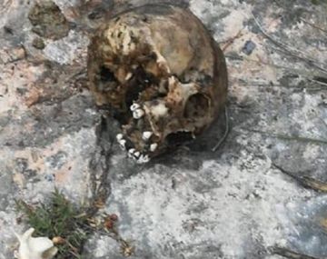 Misterio en Santa Fe: encuentran un cráneo humano en plena calle de la ciudad