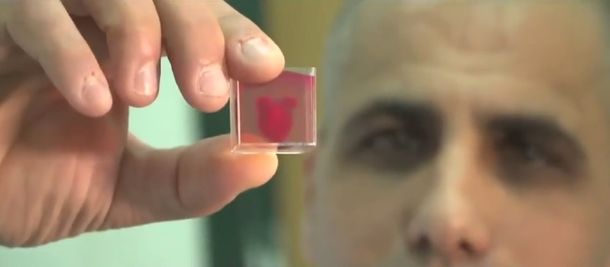 Crearon el primer corazón 3D con tejido humano