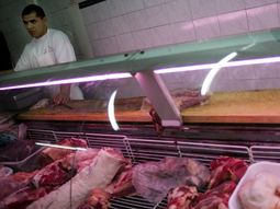 Carne - JH 7921