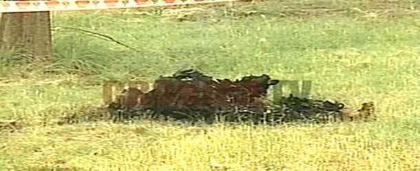 Calcinada2_cronicatv