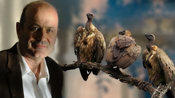 ¿que pensaba en 2012 federico sturzenegger sobre el pago a los fondos buitre? ¿que pensaba en 2012 federico sturzenegger sobre el pago a los fondos buitre?