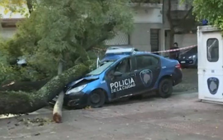 Así quedó un patrullero al que le cayó encima un árbol en medio del temporal