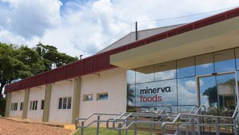 Minerva evalúa apelar la resolución de la Coprodec para aumentar su participación en el mercado uruguayo. Minerva evalúa apelar la resolución de la Coprodec para aumentar su participación en el mercado uruguayo.