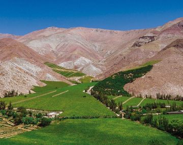 El pueblo chileno con viñedos