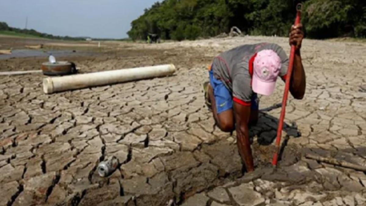 Pronóstico demoledor: qué pasará con Brasil en 50 años según la NASA