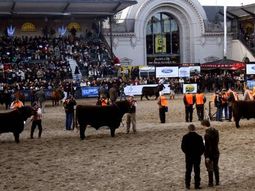 la sociedad rural se presentara esta semana ante la justicia la sociedad rural se presentara esta semana ante la justicia