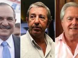 se renueva un tercio del senado: este jueves juran los 24 senadores electos se renueva un tercio del senado: este jueves juran los 24 senadores electos