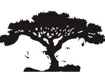 Qué ves: el test viral que revela si sos una persona lógica y razonable