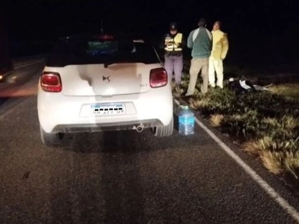 Tras el accidente se desplegó un importante operativo de asistencia y prevención en la zona Tras el accidente se desplegó un importante operativo de asistencia y prevención en la zona