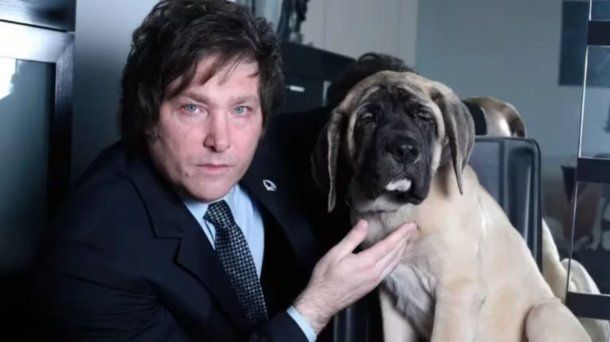 Jorge Rial revela en Argenzuela dónde están los perros de Javier Milei