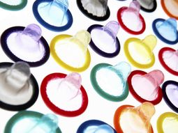 el arzobispo de la plata, contra el preservativo el arzobispo de la plata, contra el preservativo