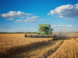 Los precios de los productos nacionales volvieron a caer por quinto mes consecutivo. Los precios de los productos nacionales volvieron a caer por quinto mes consecutivo.