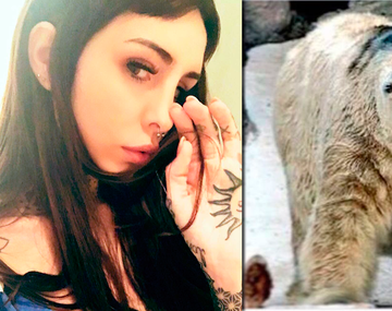 La angustia de Candelaria Tinelli por la muerte del oso Arturo: Cada entrada te fue matando