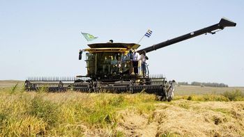 La intención de siembra de arroz es superior a la cantidad de agua disponible, según advirtió el MGAP. La intención de siembra de arroz es superior a la cantidad de agua disponible, según advirtió el MGAP.
