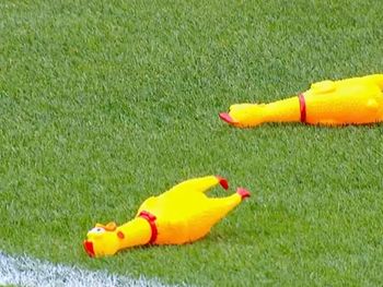 El cotillón de Boca: hinchas lanzaron gallinas de goma a los jugadores de River