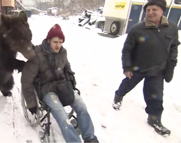 Rusia: un oso ayuda a su entrenador que está en silla de ruedas