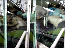 insolito: trompadas entre jugadores y dirigentes de gimnasia en el clasico insolito: trompadas entre jugadores y dirigentes de gimnasia en el clasico