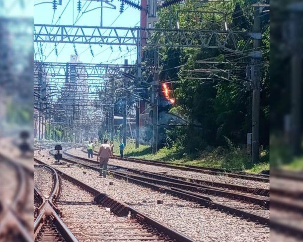 Video: se incendió un árbol y el tren Roca estuvo interrumpido más de dos horas