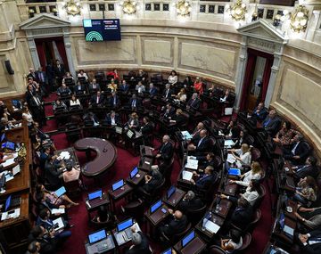 El Senado rechazó las condiciones que había pedido Cristina para allanar sus casas