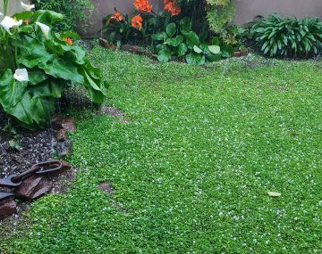 Fotos y videos: reportan caída de granizo en gran parte del AMBA y La Pampa