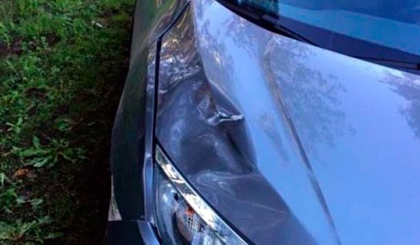 Panamericana: el hombre que murió atropellado trabajaba para el arquitecto que lo arrolló