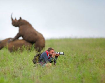 El fotógrafo contó la historia sobre la imagen de los rinocerontes amorosos