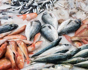 Los beneficios de consumir pescado