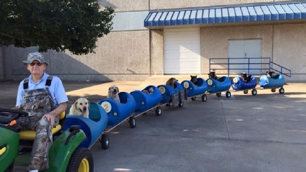 VIDEO: Con este curioso invento un hombre pasea a perros rescatados