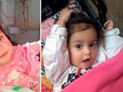 la conmovedora carta de la mama de bianca, la siamesa que fallecio la conmovedora carta de la mama de bianca, la siamesa que fallecio