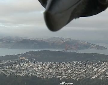 Un cuervo interrumpió el anuncio del pronóstico