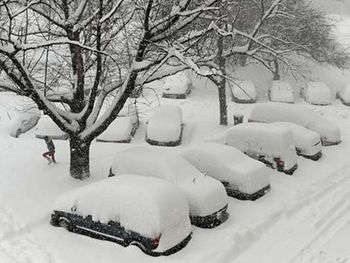 Al menos 8 muertos por una fuerte nevada en EE.UU.