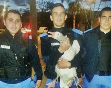 Gentileza La Brújula 24.