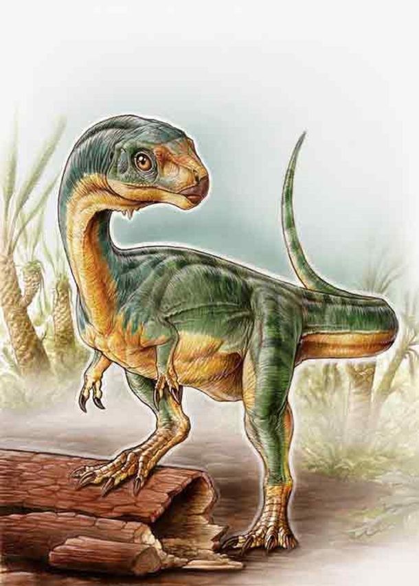 Conocé el dinosaurio que planteó un rompecabezas evolutivo a los expertos