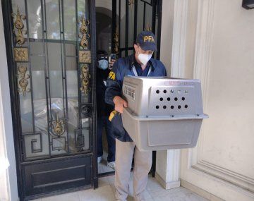 Así rescataron a Coco