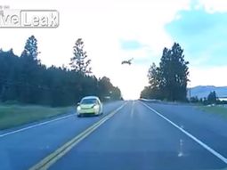 VIDEO: Auto atropella a ciervo en plena ruta