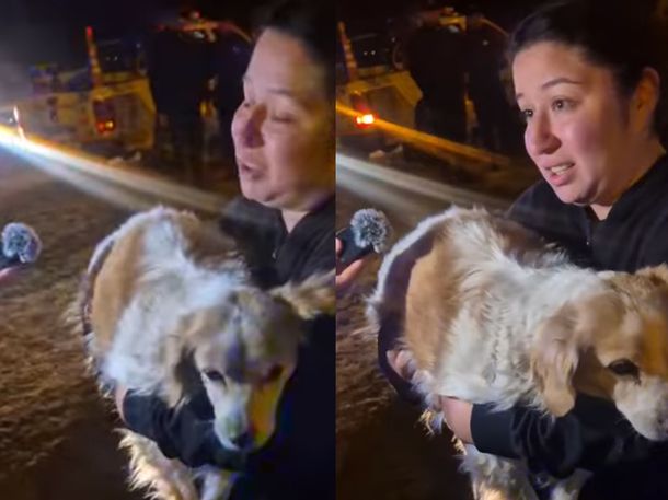El conmovedor reencuentro de una perra con su familia en medio de la evacuación en Comodoro Rivadavia