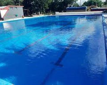 El truco casero para espantar los insectos de la pileta: el procedimiento