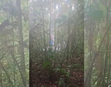 Encontraron a 4 niños que quedaron perdidos en la selva tras un accidente aéreo