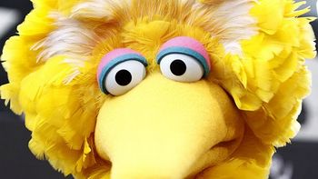 barack obama tiene problemas con plaza sesamo barack obama tiene problemas con plaza sesamo