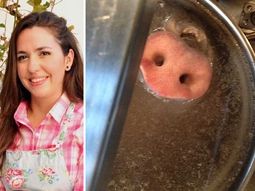 tras la polemica foto, narda lepes se defendio del ataque de los ecologistas tras la polemica foto, narda lepes se defendio del ataque de los ecologistas