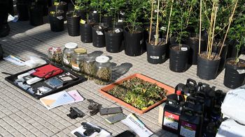 La Policía de la Ciudad desbarató un búnker de marihuana en Nueva Pompeya&nbsp;
