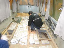 detienen a once ecuatorianos con 351 kilos de cocaina