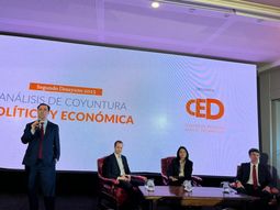 no es posible un javier milei en uruguay, tenemos partidos fuertes, dijo zuasnabar no es posible un javier milei en uruguay, tenemos partidos fuertes, dijo zuasnabar