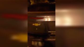 indignante: encerro a su perro en el baul del auto para ir al shopping indignante: encerro a su perro en el baul del auto para ir al shopping