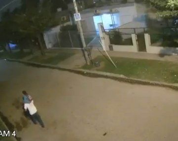Tragedia en Merlo: caminaba por la calle con su hijo de 3 años y murió aplastado por un árbol