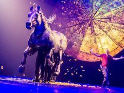Nueva muerte en el Cirque du Soleil